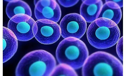 单B细胞抗体技术的关键步骤